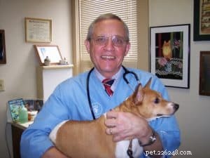 How to Choose the Perfect Vet for Your Dog: 9 Key Factors