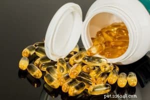 Omega-3 Supplements: Key Health Benefits for Dogs & Puppies