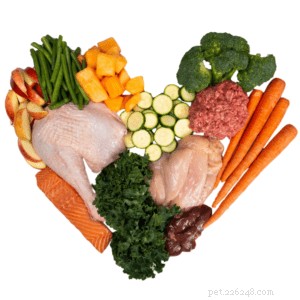 Essential Guide to Choosing Healthy Dog Food for Optimal Pet Health