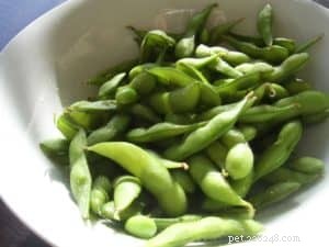 Is Soy Safe for Dogs? Expert Insights on Feeding Soy to Your Pet