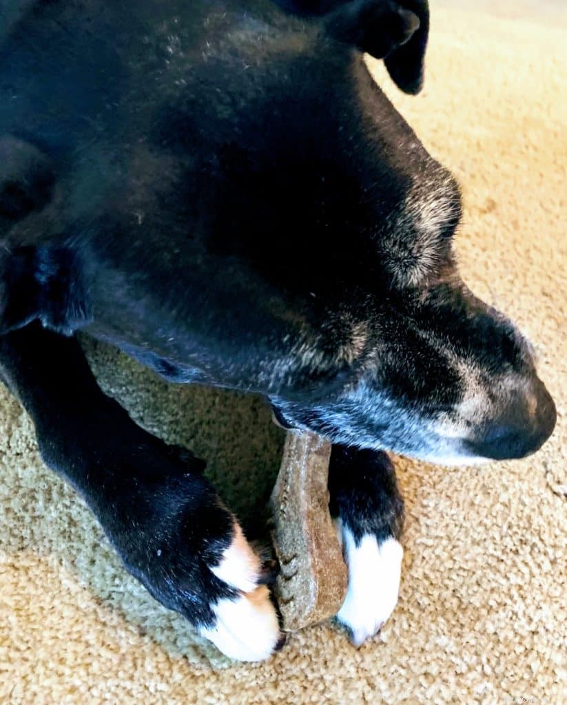 Pawstruck Bully Sticks: Trusted Natural Dog Treats Reviewed by Certified Trainer