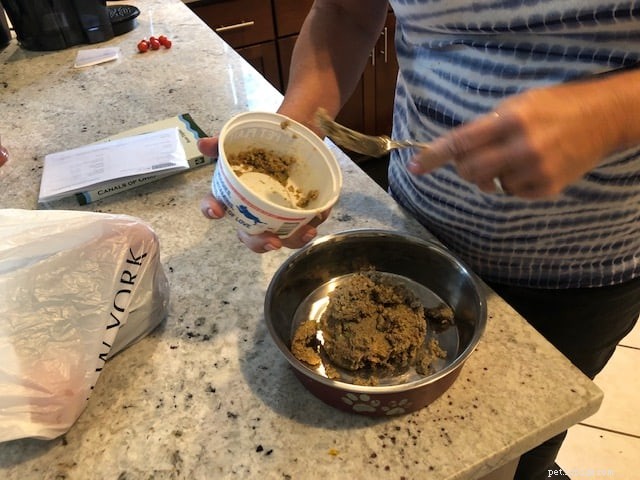 2021 Dog Food Trends: Expert Insights for Healthier Pets