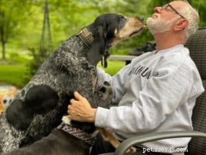 Effective Solutions to Overcome Dog Dander Allergies