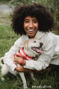 Essential Dog Supplements: Boosting Health and Well‑Being