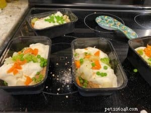 Easy Prep for Volhard AM & PM Dog Food: Tips for Feeding Two Dogs