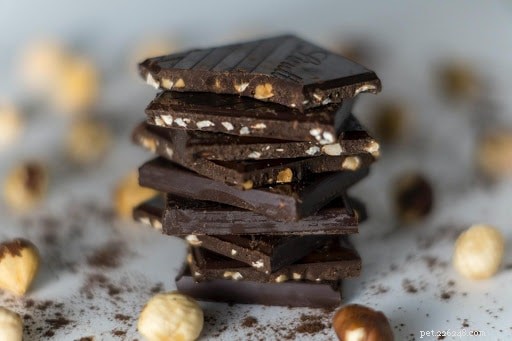 Why Chocolate Is Toxic to Dogs: 5 Critical Health Risks