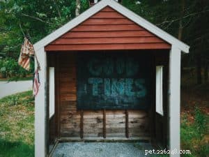 Build the Ideal Pet Shed: A Step‑by‑Step Guide for Dog Owners