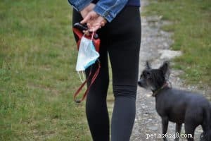 Protect Your Dog’s Health During COVID-19: Expert Tips for Pet Owners