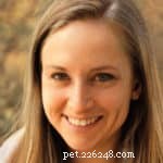 Kennels vs Pet Sitting: Choosing the Best Care for Your Dog