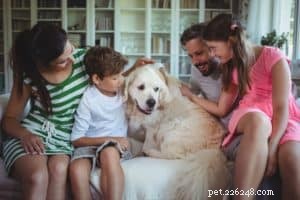 How to Choose the Best Local Veterinary Clinic for Your Pet’s Health