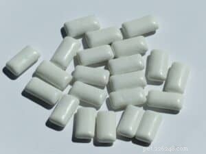 Xylitol: A Hidden Threat to Your Dog’s Health