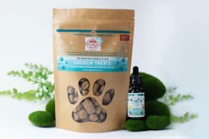 2022 Pet Nutrition Trends: Expert Insights for Healthy Pets