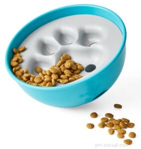 2022 Pet Nutrition Trends: Expert Insights for Healthy Pets