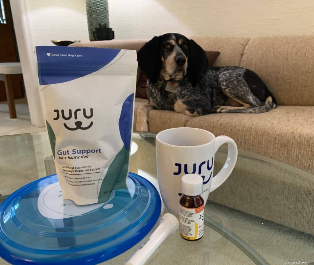 Advanced Gut Support: Beyond Traditional Probiotics for Dogs