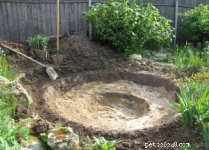 Create a Custom Dog Swimming Pool: Step‑by‑Step DIY Guide