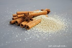 Top 9 Herbal Remedies for Dog Pain Relief – Safe & Effective