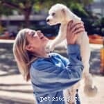 Boost Your Dog’s Health: Expert Tips for an Optimal Diet