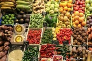 Choosing the Right Dog Food: Expert Tips for a Healthy Diet