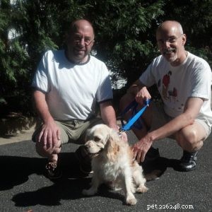 Comprehensive Guide to Caring for Your Senior Dog