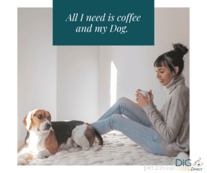 Protect Your Dog: Why Coffee Is Dangerous & How to Respond if They Ingest It