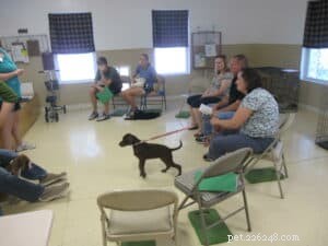 Essential First Commands Every New Puppy Needs to Learn