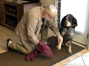 Master Dog Tricks: Fun & Effective Training Guide