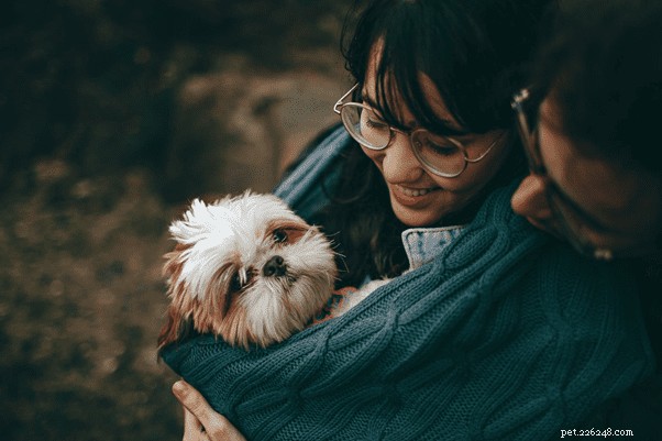 Quick Guide: Teaching Your Puppy Their Name in 1-3 Days