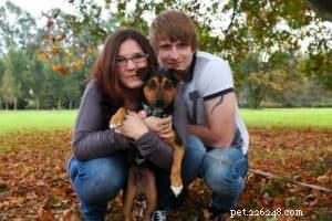 Understanding How Dogs Learn: Insights for Better Training