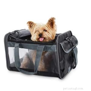Expert Guide to Crate-Training Your Adult Dog