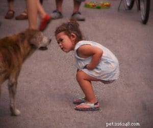 How to Make Your Dog Truly Listen: Proven Training Techniques