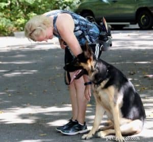 Building Confidence: The Role of Structure, Guidance, and Leadership in Effective Dog Training