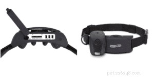Choosing the Right Dog Collar: A Complete Expert Guide
