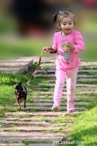 Top 7 Puppy Behaviors Every Owner Should Spot