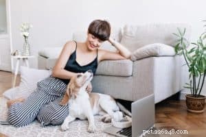 Proven Puppy Training: Expert Tips & Tricks for a Well‑Behaved Dog