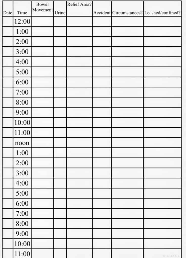 Effective 2‑Week House‑Training Plan for Puppies & Dogs