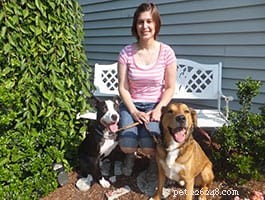Training a Deaf Puppy: Practical Tips for Success