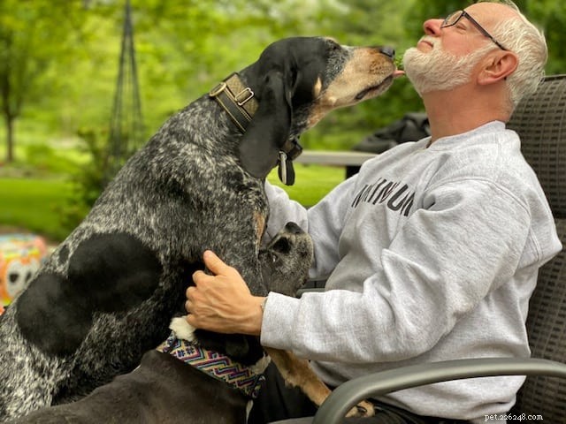 A Guide to Loving Your Dog: Tips for Building a Strong, Respectful Bond