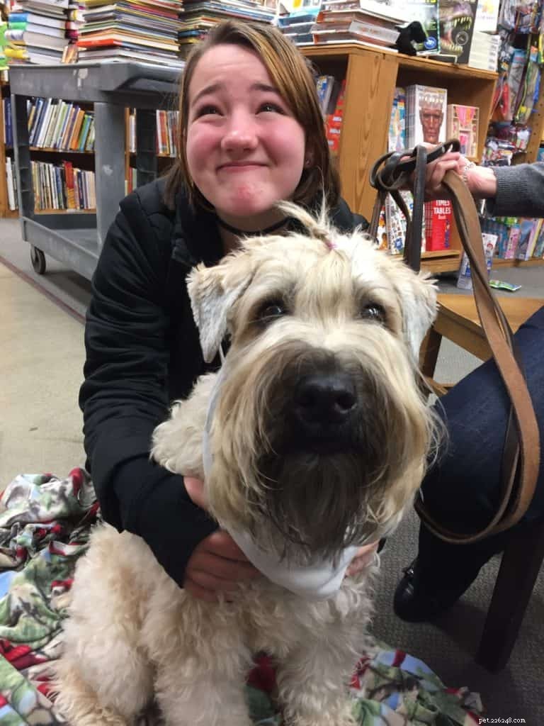 Unlocking Your Dog s Potential: The Key Motivator in Training