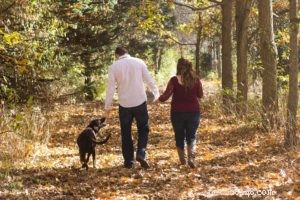 Unlocking Your Dog s Potential: The Key Motivator in Training