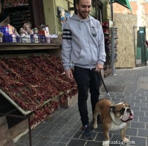Unlocking Your Dog s Potential: The Key Motivator in Training