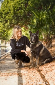 How to Safely Walk Your Dog Unleashed: Tips from a Certified Trainer