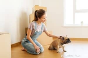 Puppy Socialization 101: Building Confidence & Good Behavior