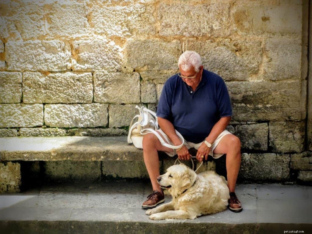 Strengthen Your Relationship: Proven Ways to Bond Deeply with Your Dog