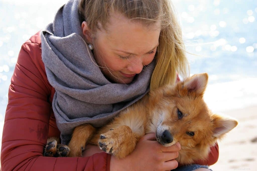 5 Proven Techniques to Pet Your Dog for a Stronger Bond