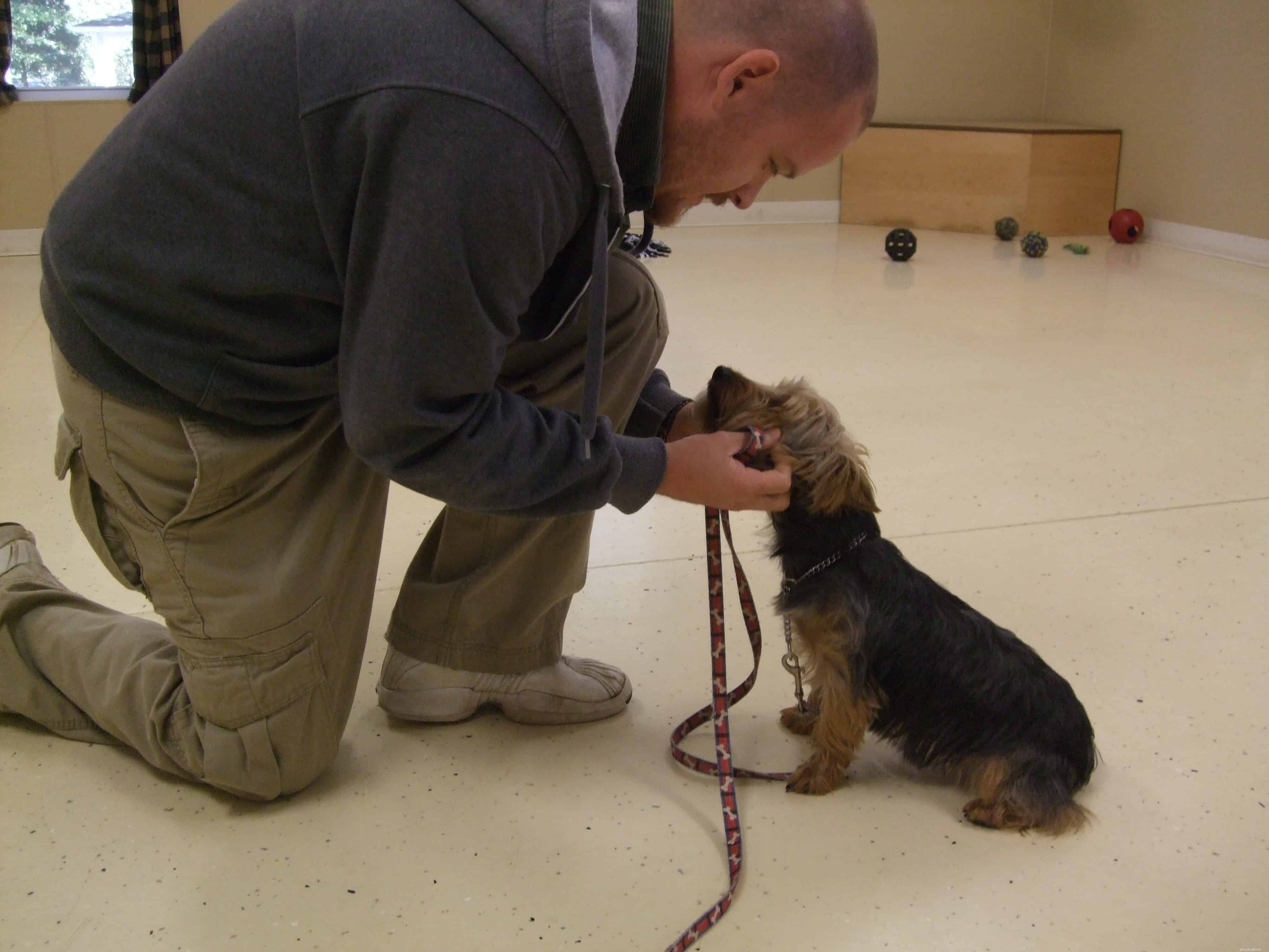 5 Effective Ways to Praise Your Dog and Strengthen Your Bond