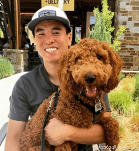 Praising Your Dog Beats Treats: Strengthen Bond & Motivation