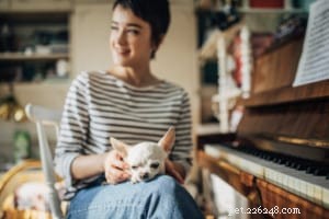 Praising Your Dog Beats Treats: Strengthen Bond & Motivation