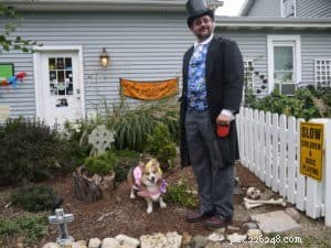 Celebrate Halloween Safely: A Guide to Treating Your Dog Right