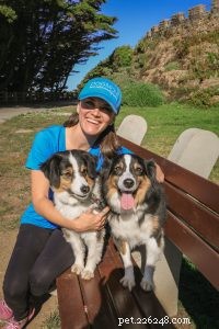 Beyond Obedience: Comprehensive Dog Training for Better Behavior