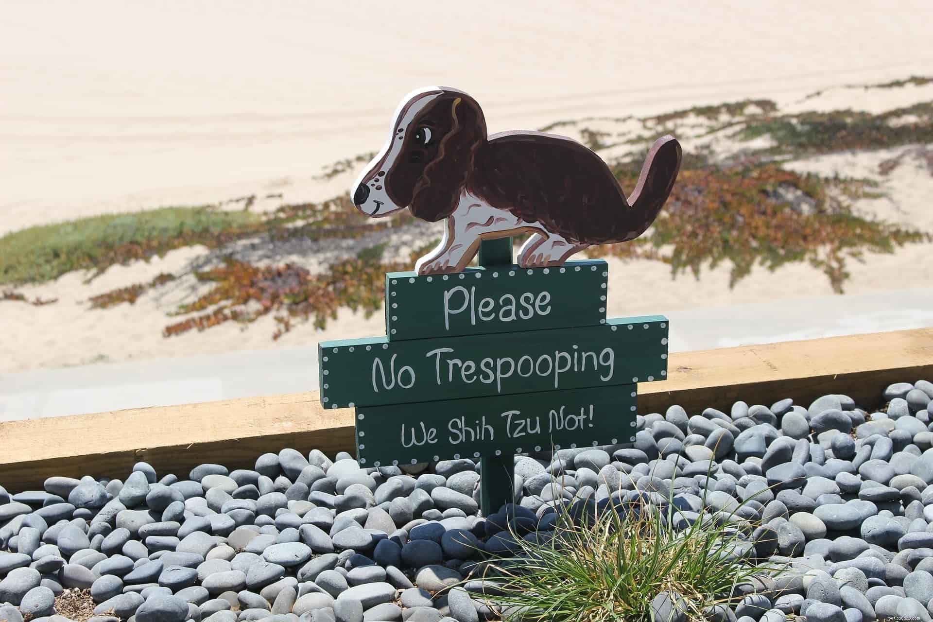 Teach Your Dog an Elimination Command: Simplify Potty Training & Clean Up Effortlessly